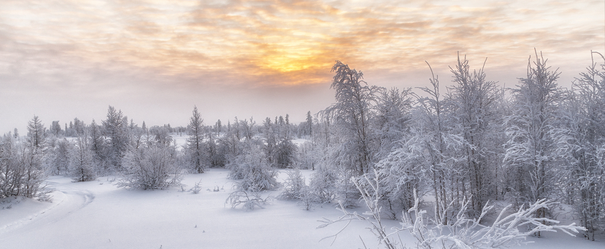 shutterstock_322115300